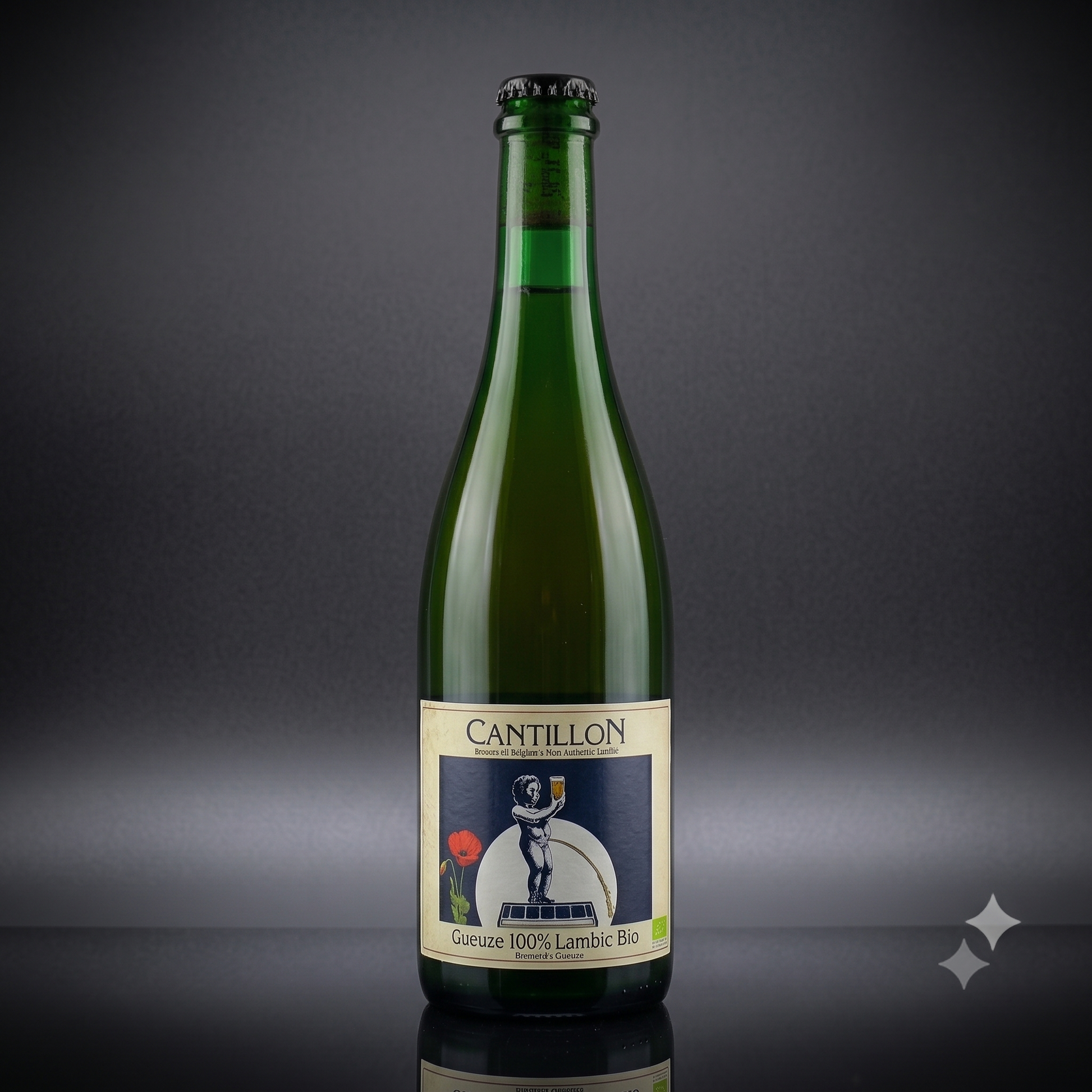 Cantillon Gueuze 100% Lambic Bio 5% 750ml-1