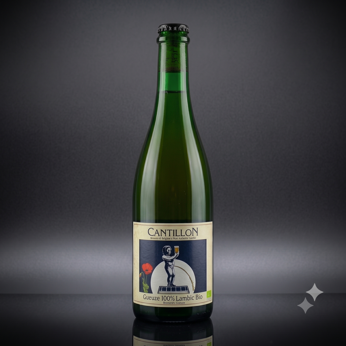 Cantillon Gueuze 100% Lambic Bio 5% 750ml