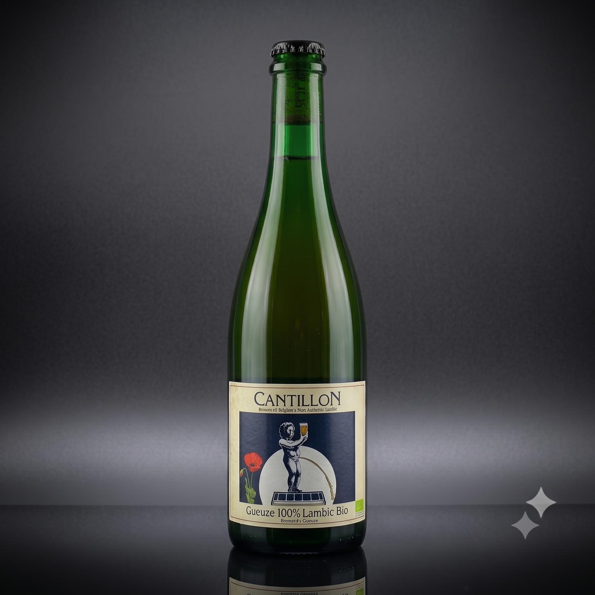 Cantillon Gueuze 100% Lambic Bio 5% 750ml-zoom-1